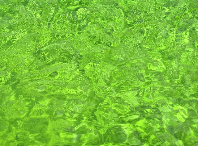 Liquid Green